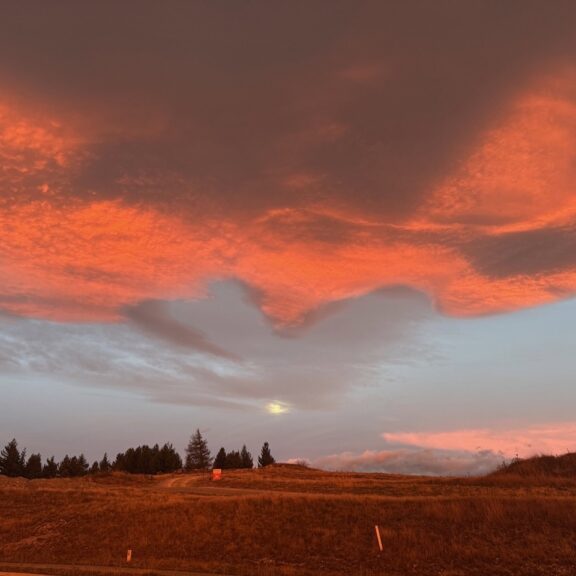 setting moon in Tekapo Large